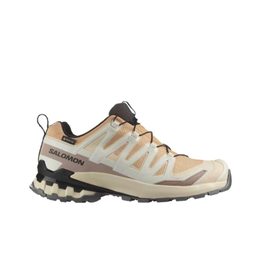 Salomon XA Pro 3D V9 GTX: Dams – Salomon Shoes Xa Pro 3D recenzja i cena